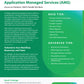 Application Managed Services (AMS)